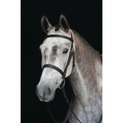 Collegiate Hunt Cavesson Bridle IV - Brown