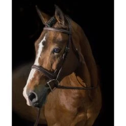 Pessoa PRO Fancy Stitched Wide Noseband Bridle - Dark Brown