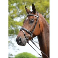 Kincade Padded Headpiece Flash Bridle - Brown