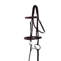 Kincade Padded Plain Raised Bridle - Brown