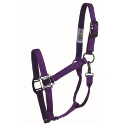 Western Rawhide SignatureFashion Halter W/Black Nickel Finish Hardware - Purple