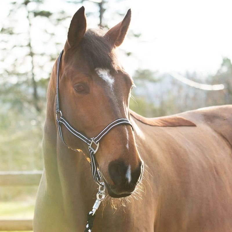 Horze Nice Halter - Black