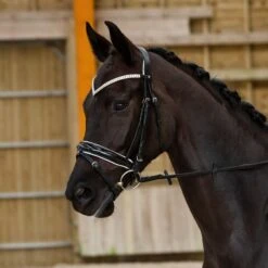 Horze Grayson Classic Dressage Ergonomic Bridle - Black/White