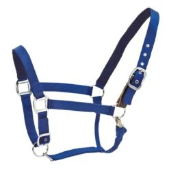 Centaur Cushion Web Breakaway Halter - Royal Blue