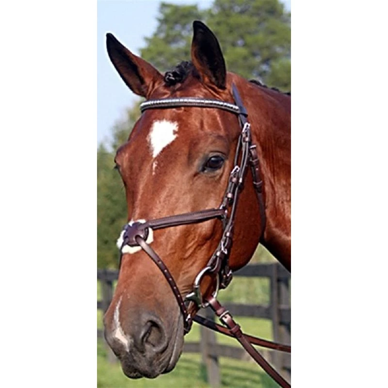 Nunn Finer Figure 8 Clincher Browband Padded Event Bridle - Havana/Zinc