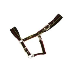 Rambo Padded Halter - Witney Gold