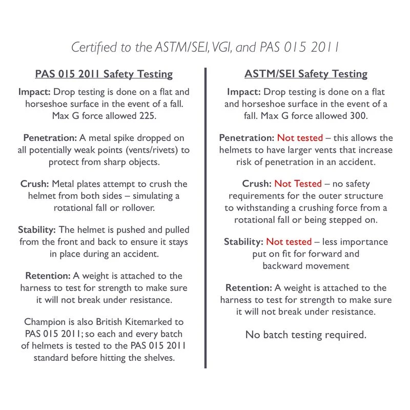 Champion X-Air Dazzle Plus Helmet - Black/Silver Sparkle - Image 2