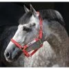 Horseware Field Safe Halter - Red