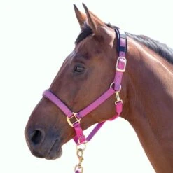 Shires Topaz Leather Breakaway Nylon Halter - Raspberry
