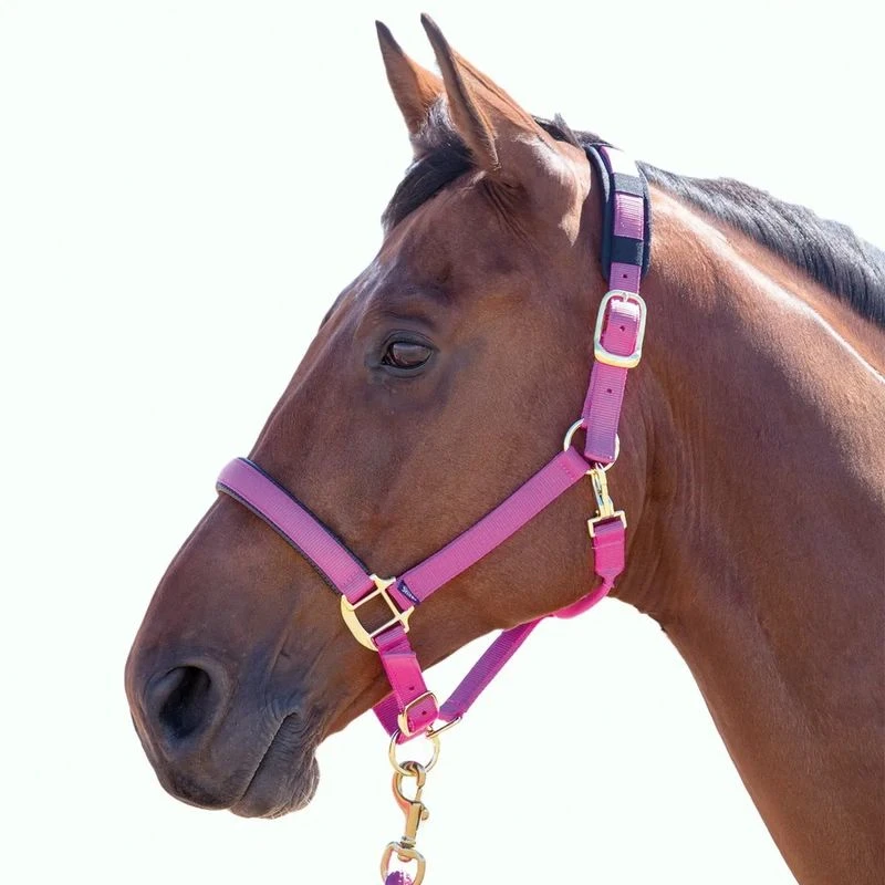Shires Topaz Leather Breakaway Nylon Halter - Raspberry
