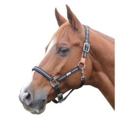 Roma Reflective Breakaway Headcollar - Navy