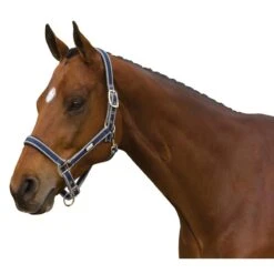 Roma Breakaway Neoprene Padded Headcollar & Lead Set - Navy/Silver