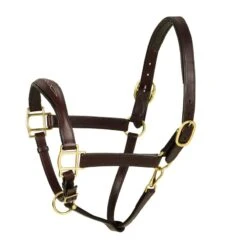 Aramas Fancy Raised Z Shaped Padded Halter - Chocolate