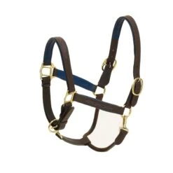 Ovation Richtan Luxury Padded Halter - Brown/Blue