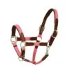 Harmohn Kraft Padded Web/Leather Halter W/Snap - Pink/Chocolate
