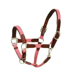 Harmohn Kraft Padded Web/Leather Halter W/Snap - Pink/Chocolate