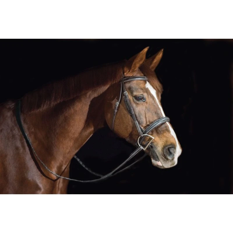 Ovation ATS Fancy Raised Wide Noseband Bridle - Dark Brown - Image 3