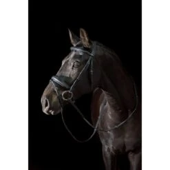 Ovation ATS Traditional Flash Dressage Bridle - Black