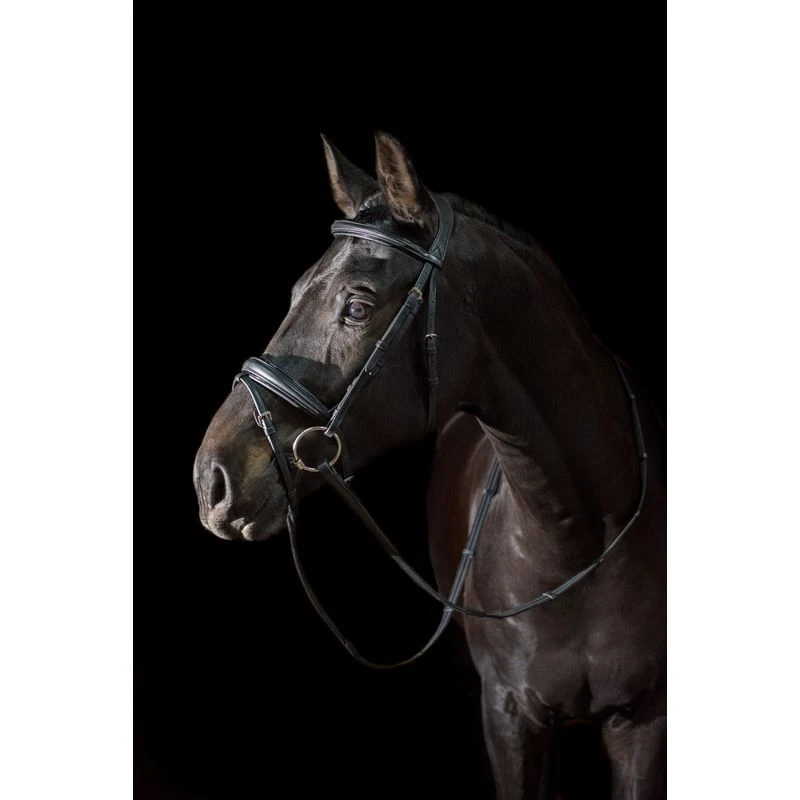 Ovation ATS Traditional Flash Dressage Bridle - Black