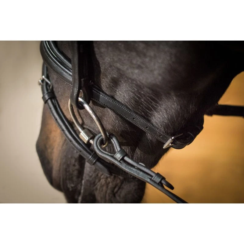 Ovation ATS Traditional Flash Dressage Bridle - Black - Image 3