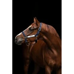 Horseware Field Safe Halter - Navy