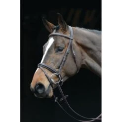Collegiate Comfort Crown Padded Raised Flash Bridle - Brown