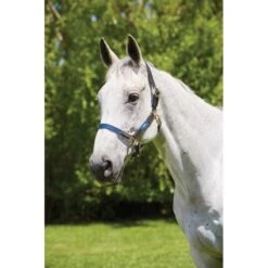 Kincade Leather Web Halter - Navy/Brown