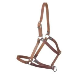 Western Rawhide Newborn Leather Halter - Brown