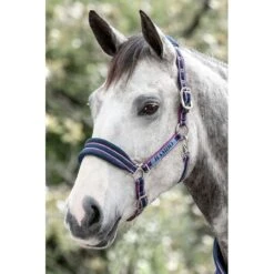 Rambo Padded Halter - Navy/Burgundy,Dusty Blue/Navy