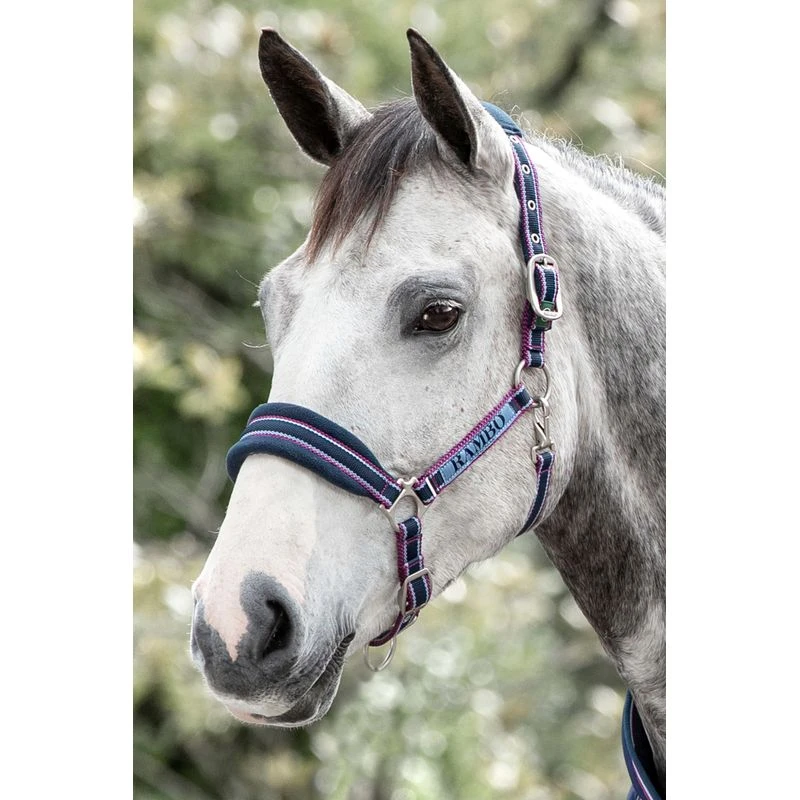 Rambo Padded Halter - Navy/Burgundy,Dusty Blue/Navy
