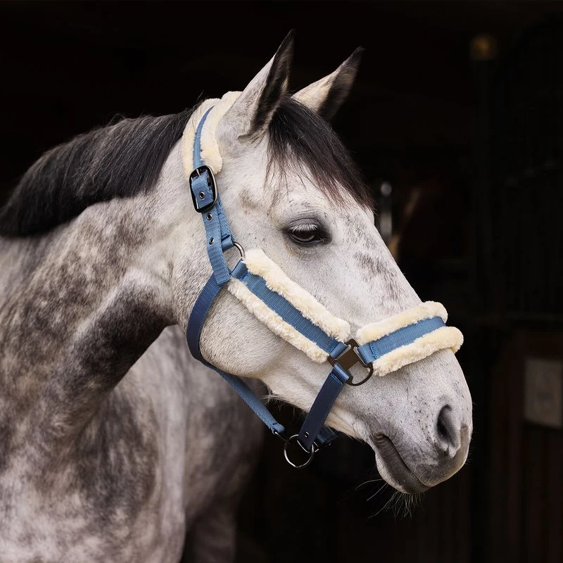 Horze Marquess Halter - Aegean Blue