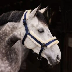 Horze Marquess Halter - Dark Navy