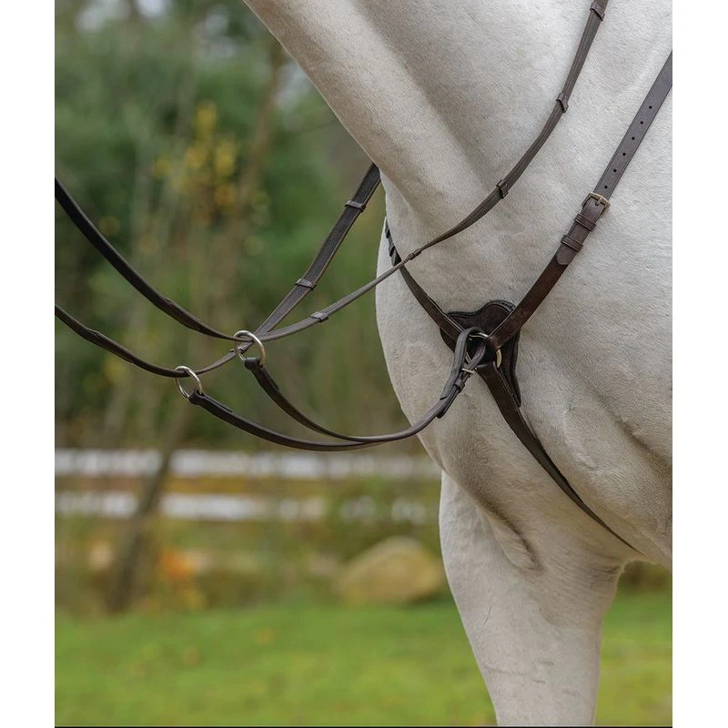 Shires Avignon Three Point Breastplate - Havana