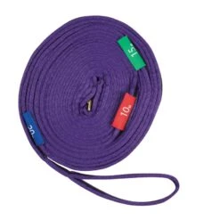 Kincade Two Tone Lunge Line With Circle Markers - Purple/Black