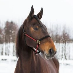 Finntack Yankee 3/4" Nylon Halter - Black/Red