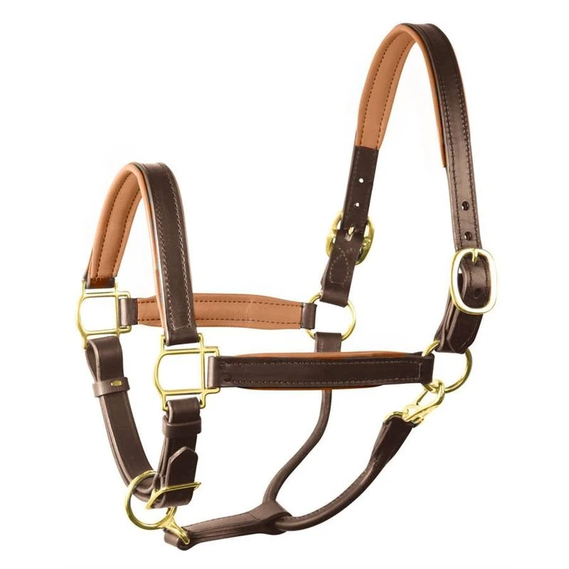 Perri's 1" Padded Leather Halter - Havana/Camel