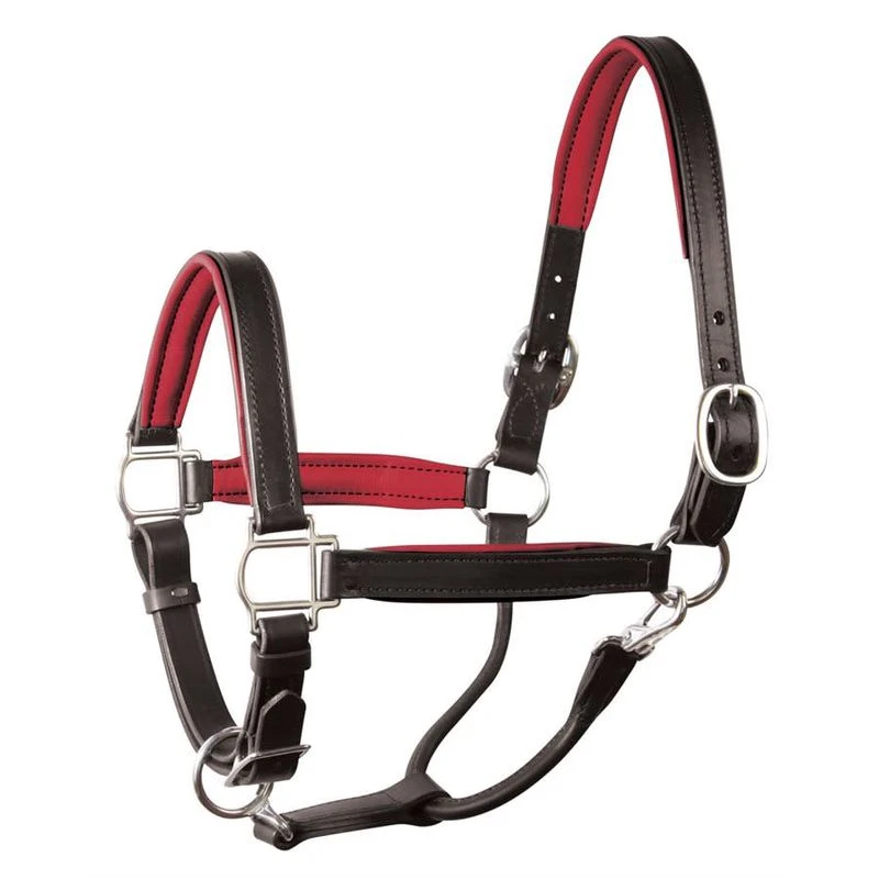 Perri's 1" Padded Leather Halter - Black/Red