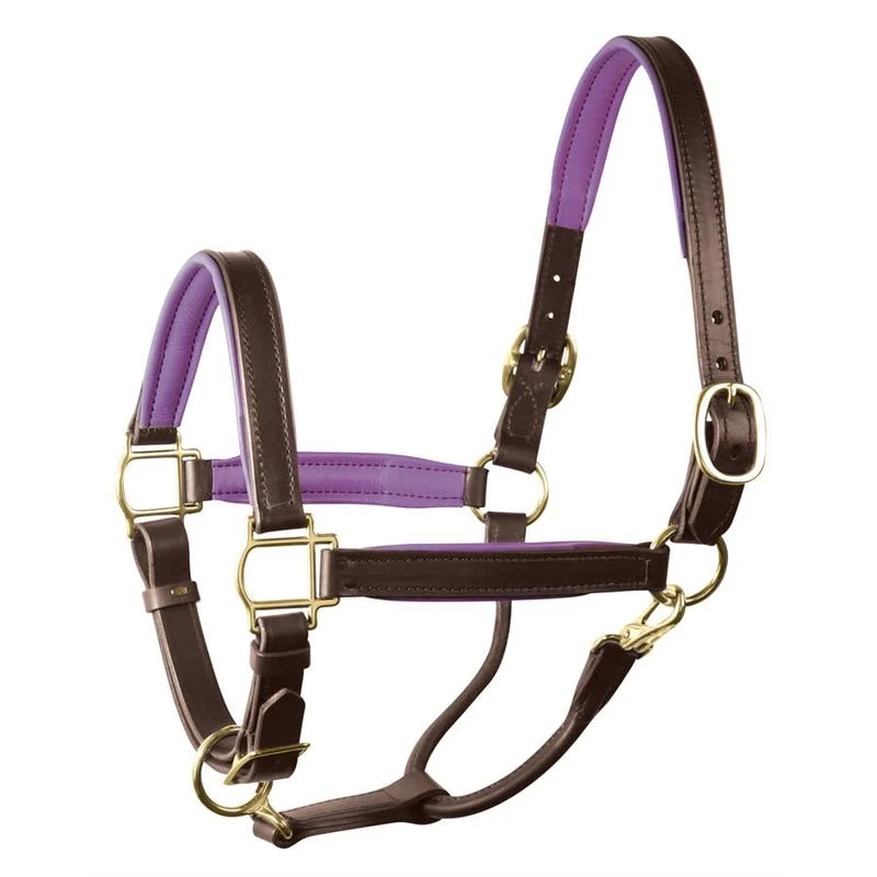 Perri's 1" Padded Leather Halter - Havana/Purple