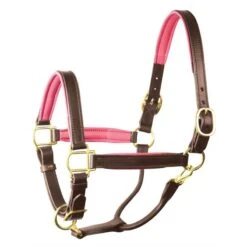 Perri's 1" Padded Leather Halter - Havana/Pink