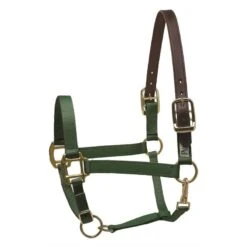 Perri's Nylon Safety Halter - Hunter Green