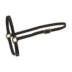 Perri's Nylon Grooming Halter - Black