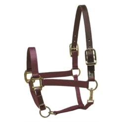 Perri's Nylon Safety Halter - Burgundy