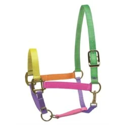 Perri's Nylon SuperHalter - Multi Neon