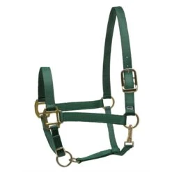 Perri's Nylon SuperHalter - Hunter Green