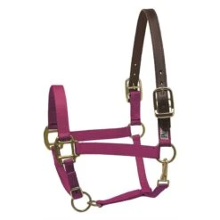 Perri's Nylon Safety Halter - Raspberry