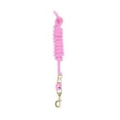 Perri's 5/8" Nylon Lead W/Snap - Hot Pink