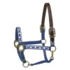 Perri's Ribbon Safety Halter - Royal Hippo