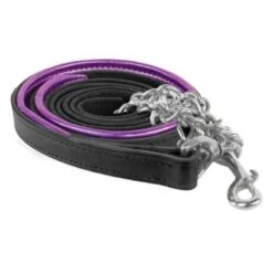 Perri's Metallic Padded Lead W/Chain - Black/Purple