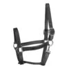 Perri's 1" Leather Track Turnout Halter W/Snap - Black