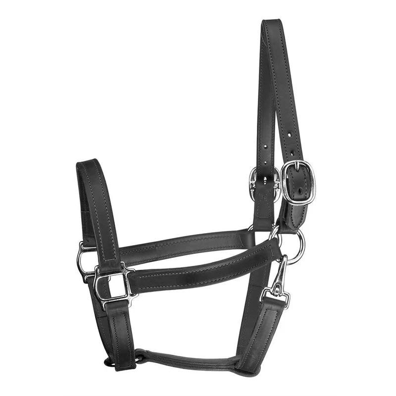 Perri's 1" Leather Track Turnout Halter W/Snap - Black